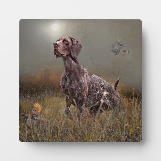 Duitse Shorthaired Pointer, Deutsch Kurzhaar Tapes Fotoplaat (Voorkant)