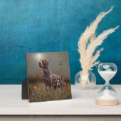 Duitse Shorthaired Pointer, Deutsch Kurzhaar Tapes Fotoplaat (Insitu)