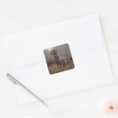 Duitse Shorthaired Pointer, Deutsch Kurzhaar Tapes Vierkante Sticker (Envelop)