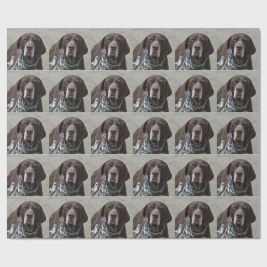 Duitse Shorthaired Pointer Dog Cadeaupapier (Vlak)