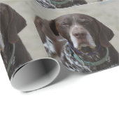 Duitse Shorthaired Pointer Dog Cadeaupapier (Rol Hoek)