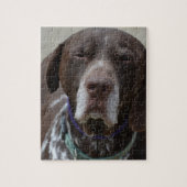 Duitse Shorthaired Pointer Dog Legpuzzel (Verticaal)