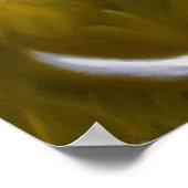 Duitse Shorthaired Pointer Dog Poster (Hoek)