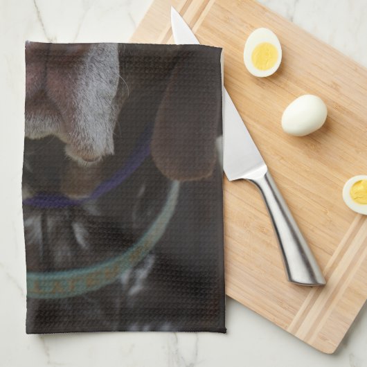 Duitse Shorthaired Pointer Dog Theedoek (Quarter Fold)