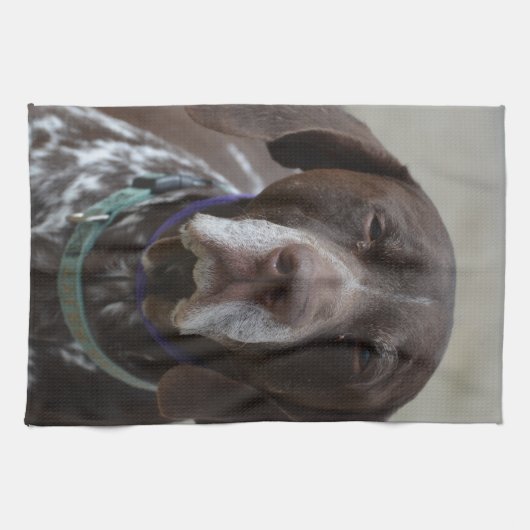 Duitse Shorthaired Pointer Dog Theedoek (Horizontaal)