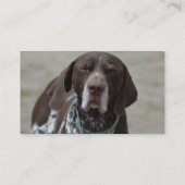 Duitse Shorthaired Pointer Dog Visitekaartje (Achterkant)