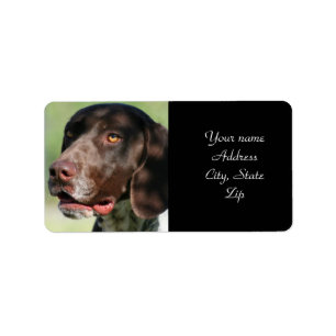 Duitse Shorthaired Pointer Etiket
