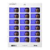 Duitse Shorthaired Pointer Etiket (Full Sheet)