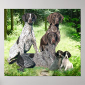 Duitse Shorthaired Pointer Family Print (Voorkant)