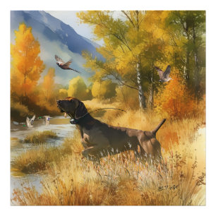 Duitse Shorthaired Pointer Foto Afdruk