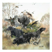 Duitse Shorthaired pointer Foto Afdruk (Voorkant)