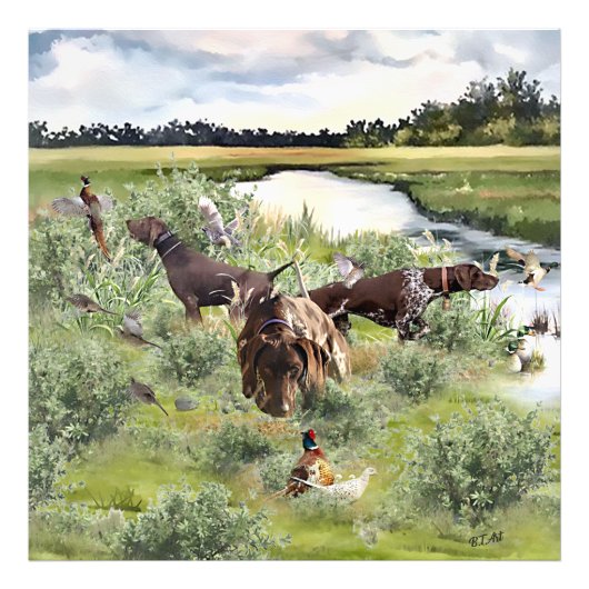 Duitse Shorthaired pointer Foto Afdruk (Voorkant)