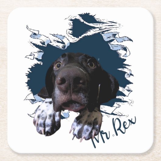 Duitse Shorthaired Pointer, grappig gezicht Bandan Kartonnen Onderzetters (Voorkant)