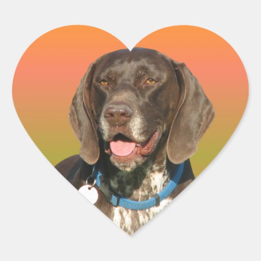 Duitse Shorthaired Pointer Hart Sticker (Voorkant)