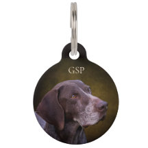 Duitse Shorthaired Pointer