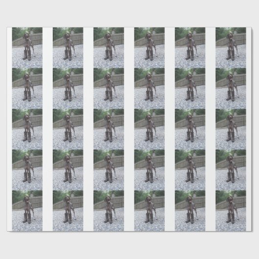 Duitse Shorthaired Pointer in Boots Cadeaupapier (Vlak)