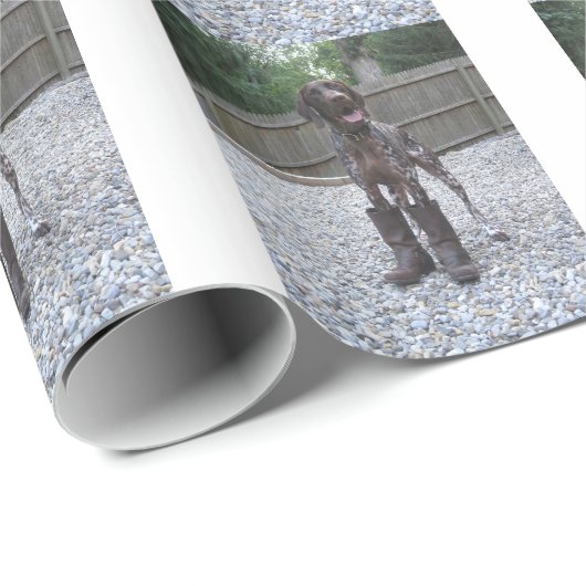 Duitse Shorthaired Pointer in Boots Cadeaupapier (Rol Hoek)