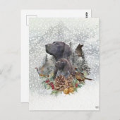 Duitse Shorthaired Pointer in de winter Briefkaart (Voorkant / Achterkant)