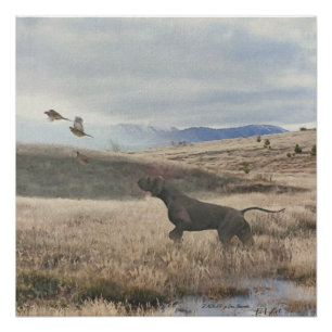 Duitse Shorthaired Pointer jager quail , Art Perfect Poster