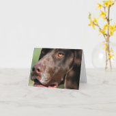 Duitse Shorthaired Pointer Kaart (Gele Bloem)