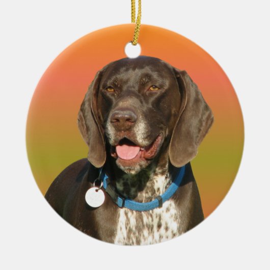 Duitse Shorthaired Pointer Keramisch Ornament (Voorkant)