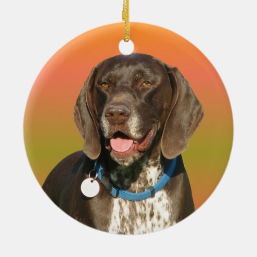 Duitse Shorthaired Pointer Keramisch Ornament (Achterkant)