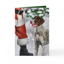 Duitse Shorthaired Pointer-kerstcadeautjes