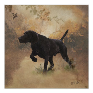 Duitse Shorthaired Pointer klaar om op Gift Box te Perfect Poster