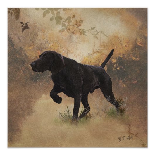 Duitse Shorthaired Pointer klaar om op Gift Box te Perfect Poster (Voorkant)