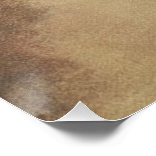 Duitse Shorthaired Pointer klaar om op Gift Box te Perfect Poster (Hoek)