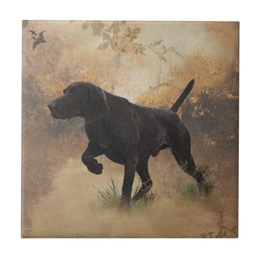 Duitse Shorthaired Pointer klaar om op Gift Box te Tegeltje (Voorkant)