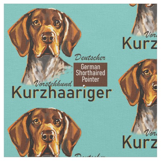 Duitse Shorthaired Pointer Kurzhaar Stof (Close Up)
