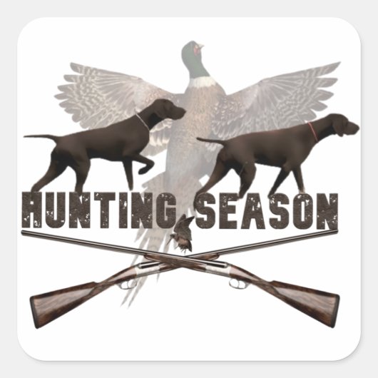 Duitse Shorthaired Pointer,kurzhaar Vierkante Sticker (Voorkant)