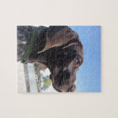 Duitse Shorthaired Pointer Legpuzzel (Horizontaal)