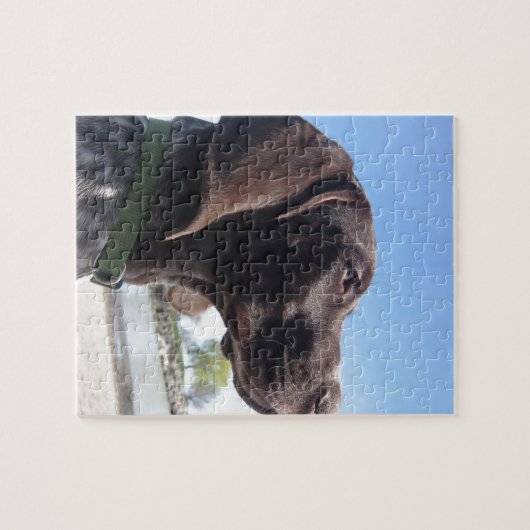Duitse Shorthaired Pointer Legpuzzel (Horizontaal)