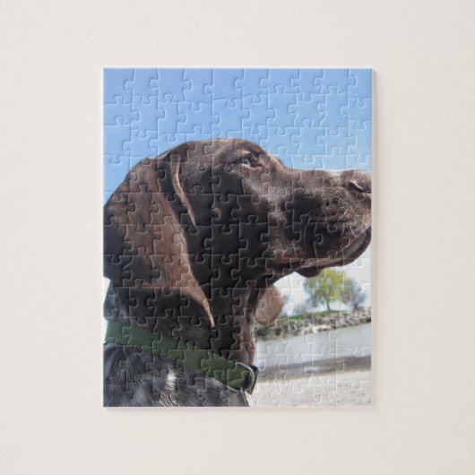 Duitse Shorthaired Pointer Legpuzzel (Verticaal)