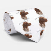 Duitse Shorthaired Pointer mam 2 Stropdas (Opgerold)