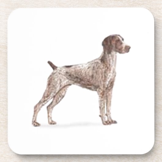 Duitse Shorthaired Pointer Onderzetter (Voorkant)