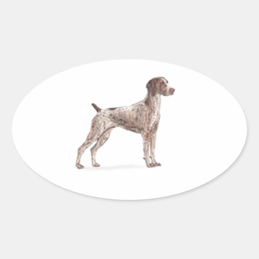 Duitse Shorthaired Pointer Ovale Sticker (Voorkant)