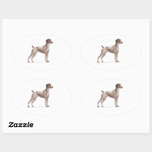Duitse Shorthaired Pointer Ovale Sticker (Vel)