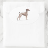 Duitse Shorthaired Pointer Ovale Sticker (Tas)