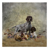 Duitse Shorthaired Pointer Perfect Poster (Voorkant)