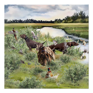Duitse Shorthaired pointer Perfect Poster
