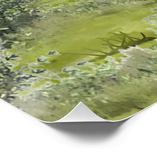 Duitse Shorthaired pointer Perfect Poster (Hoek)