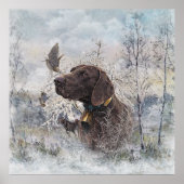 Duitse Shorthaired Pointer Poster (Voorkant)