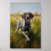 Duitse Shorthaired Pointer Poster (Voorkant)