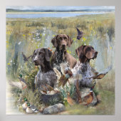 Duitse Shorthaired Pointer Poster (Voorkant)