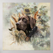 Duitse Shorthaired Pointer Poster (Voorkant)