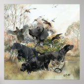 Duitse Shorthaired pointer Poster (Voorkant)