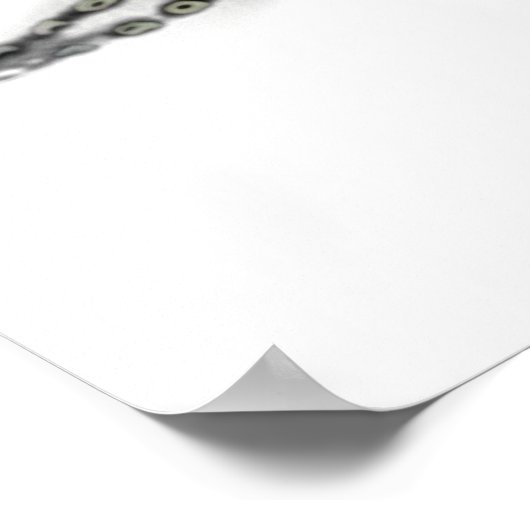 Duitse Shorthaired Pointer Poster (Hoek)